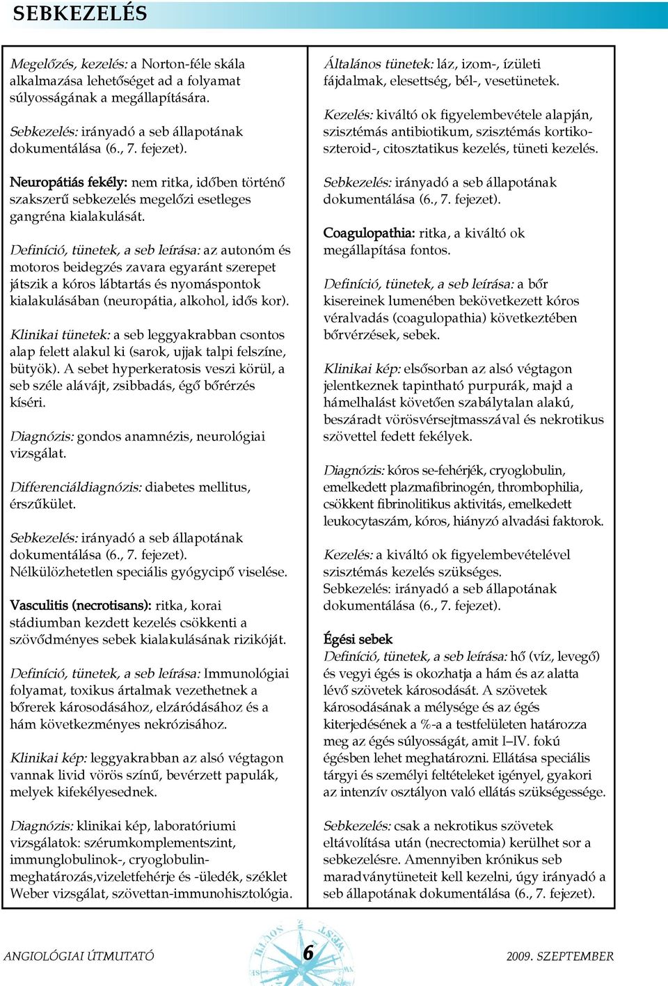 Definíció, tünetek, a seb leírása: az autonóm és motoros beidegzés zavara egyaránt szerepet játszik a kóros lábtartás és nyomáspontok kialakulásában (neuropátia, alkohol, idõs kor).