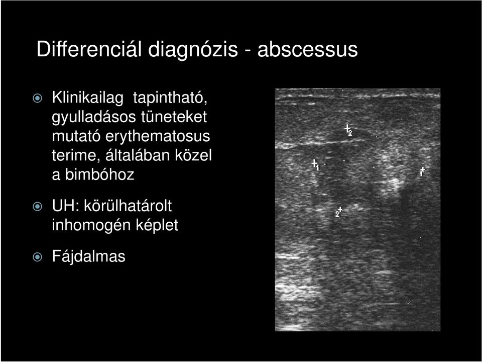 mutató erythematosus terime, általában közel