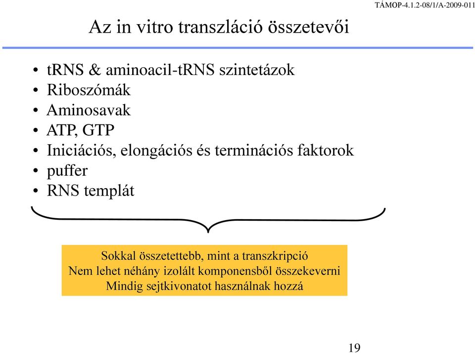 faktorok puffer RNS templát Sokkal összetettebb, mint a transzkripció Nem