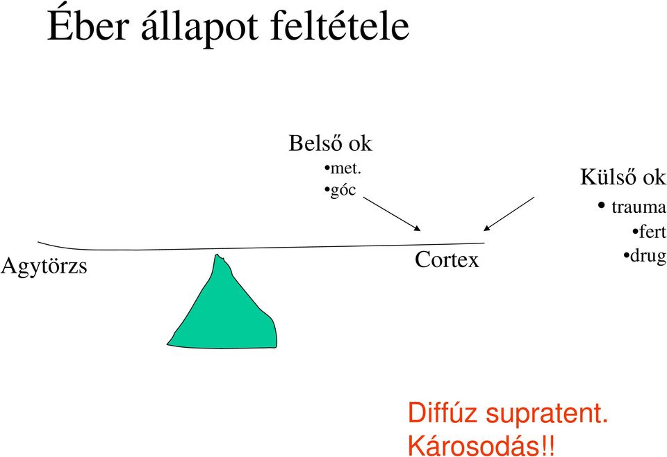 góc Cortex Küls ok trauma