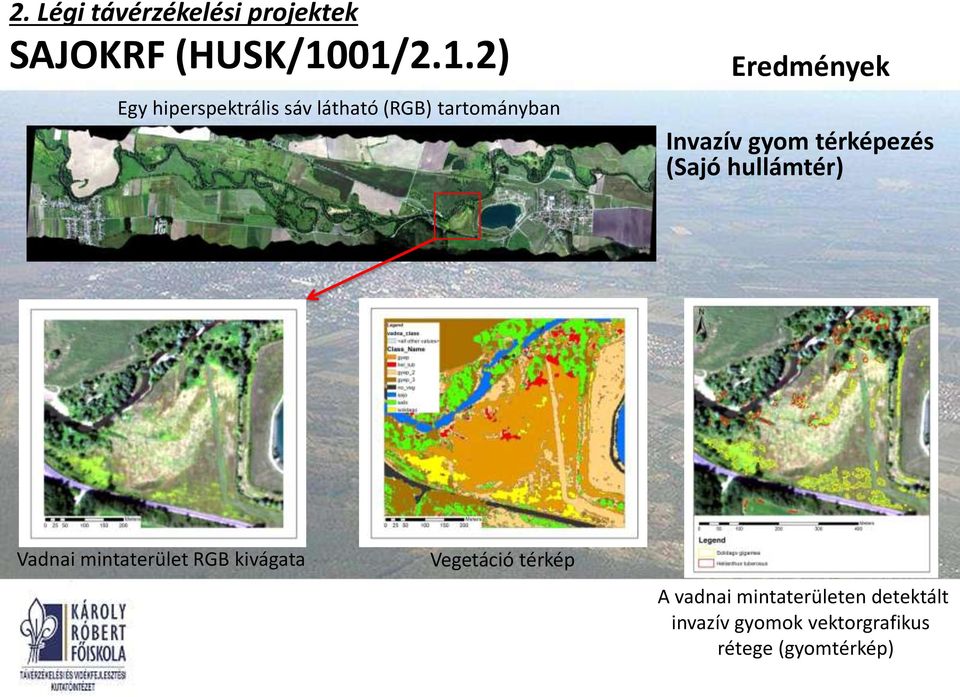 Eredmények Invazív gyom térképezés (Sajó hullámtér) Vadnai