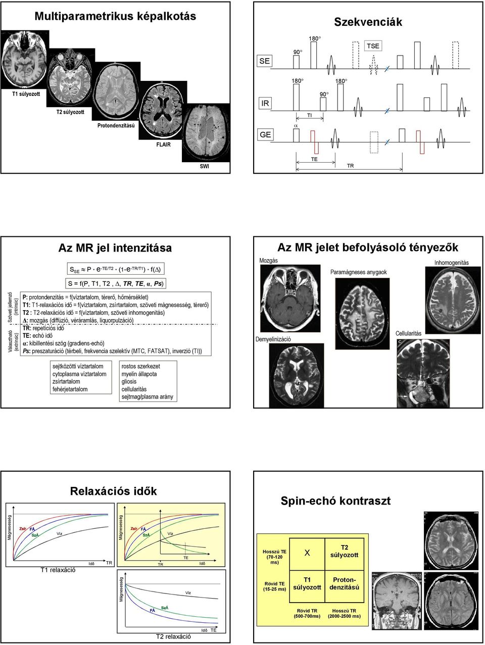 f(víztartalom, térerő, hőmérséklet) T1: T1-relaxációs idő = f(víztartalom, zsírtartalom, szöveti mágnesesség, térerő) T2 : T2-relaxációs idő = f(víztartalom, szöveti inhomogenitás) : mozgás