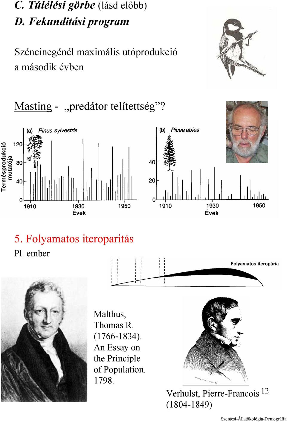 Masting - predátor telítettség? 5. Folyamatos iteroparitás Pl.