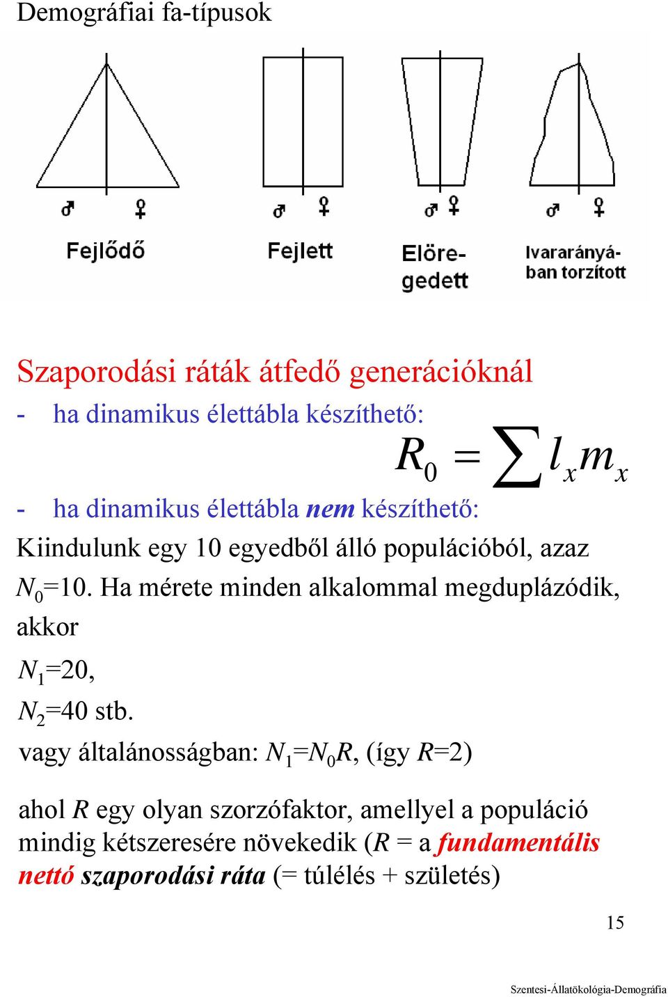 Ha mérete minden alkalommal megduplázódik, akkor N 1 =20, N 2 =40 stb.