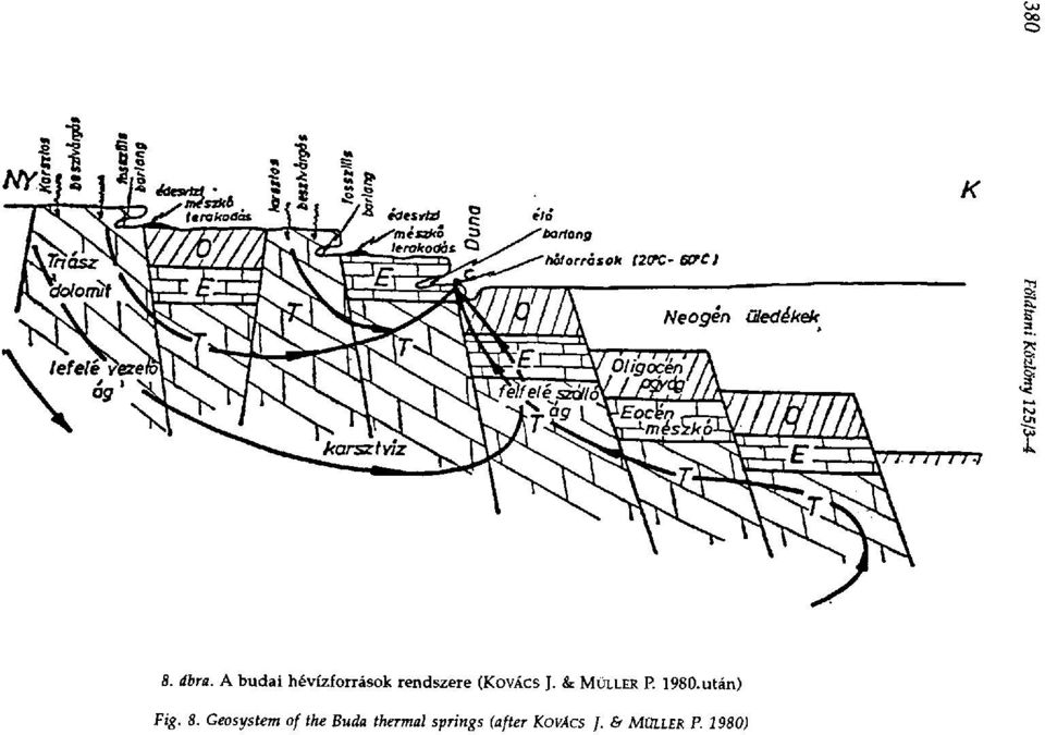 (KOVÁCS J. & MÜLLER P. 1980.után) Fig.