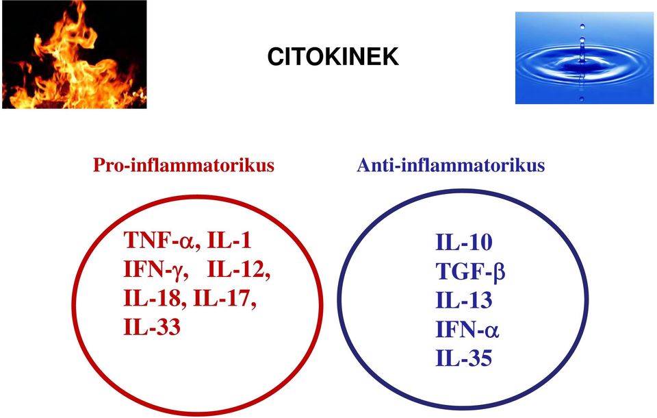 IL-1 IFN-, IL-12, IL-18,