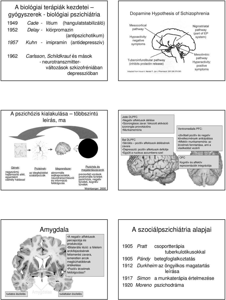 hatással Proteinek: az idegfejlıdést szabályozzák Idegrendszer: abnormális sejtkapcsolatok, neurotranszmisszió és információ feldolgozás Pszichózi s Pszichés és magatartászavarok premorbid vonások