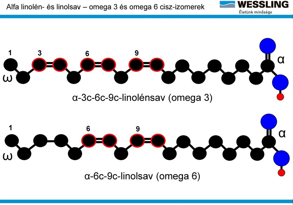 α α-3c-6c-9c-linolénsav (omega 3)