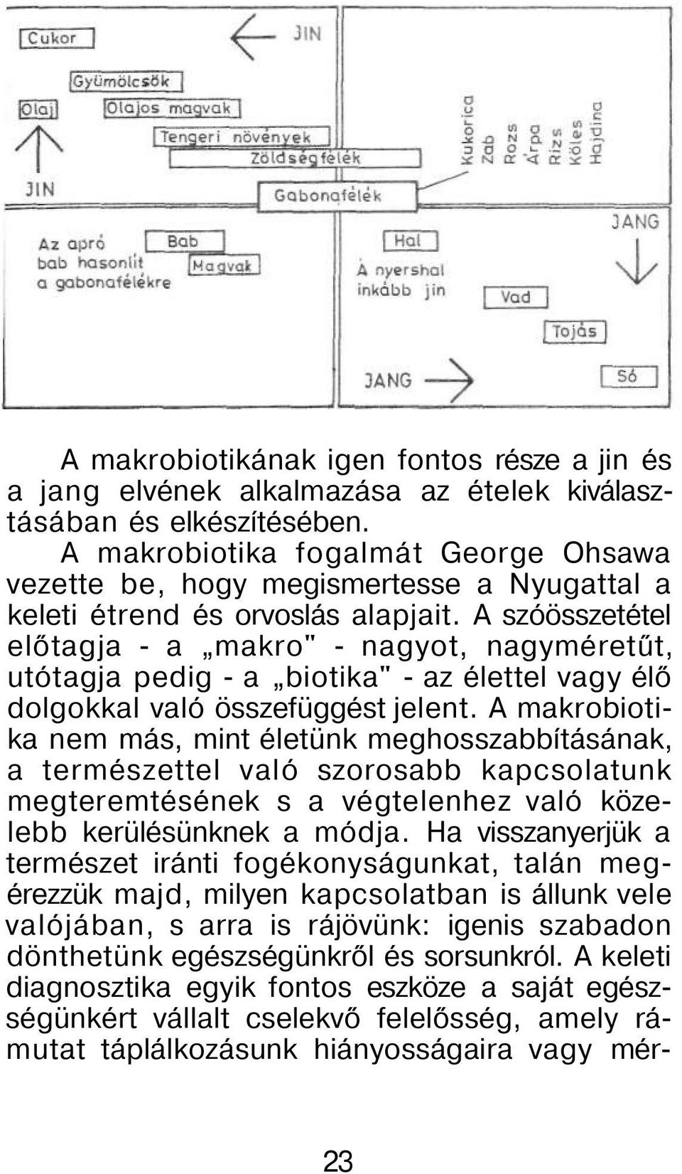 A szóösszetétel előtagja - a makro" - nagyot, nagyméretűt, utótagja pedig - a biotika" - az élettel vagy élő dolgokkal való összefüggést jelent.