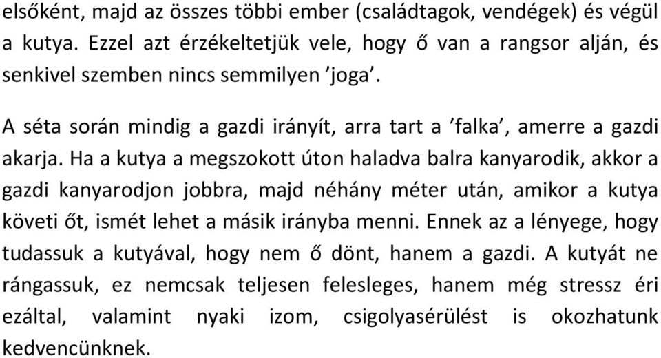 A séta során mindig a gazdi irányít, arra tart a falka, amerre a gazdi akarja.