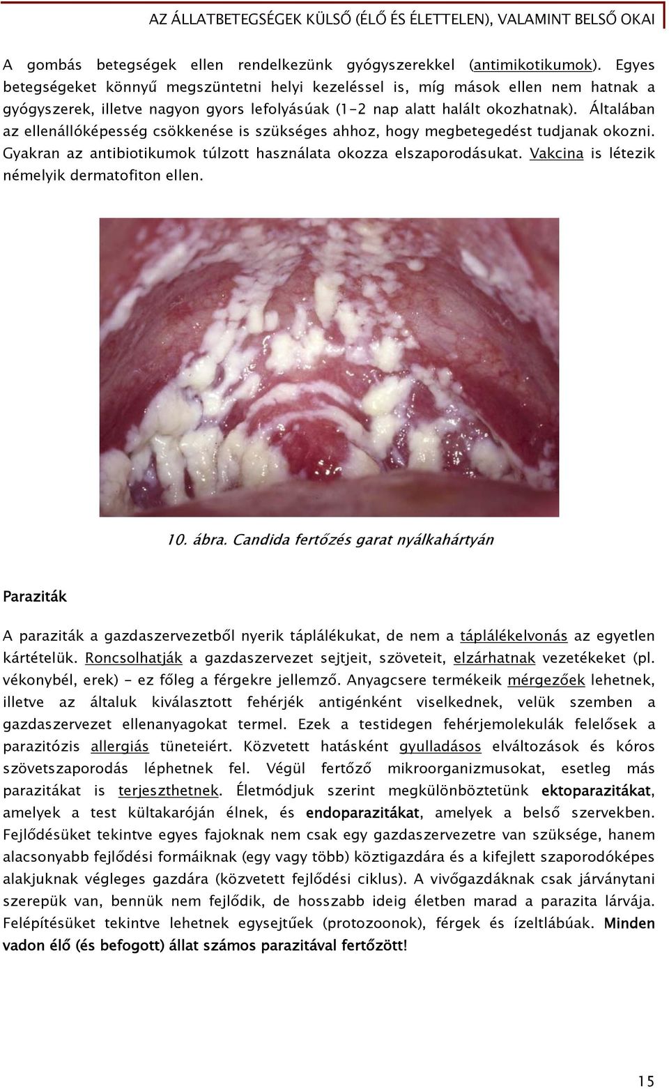 Általában az ellenállóképesség csökkenése is szükséges ahhoz, hogy megbetegedést tudjanak okozni. Gyakran az antibiotikumok túlzott használata okozza elszaporodásukat.