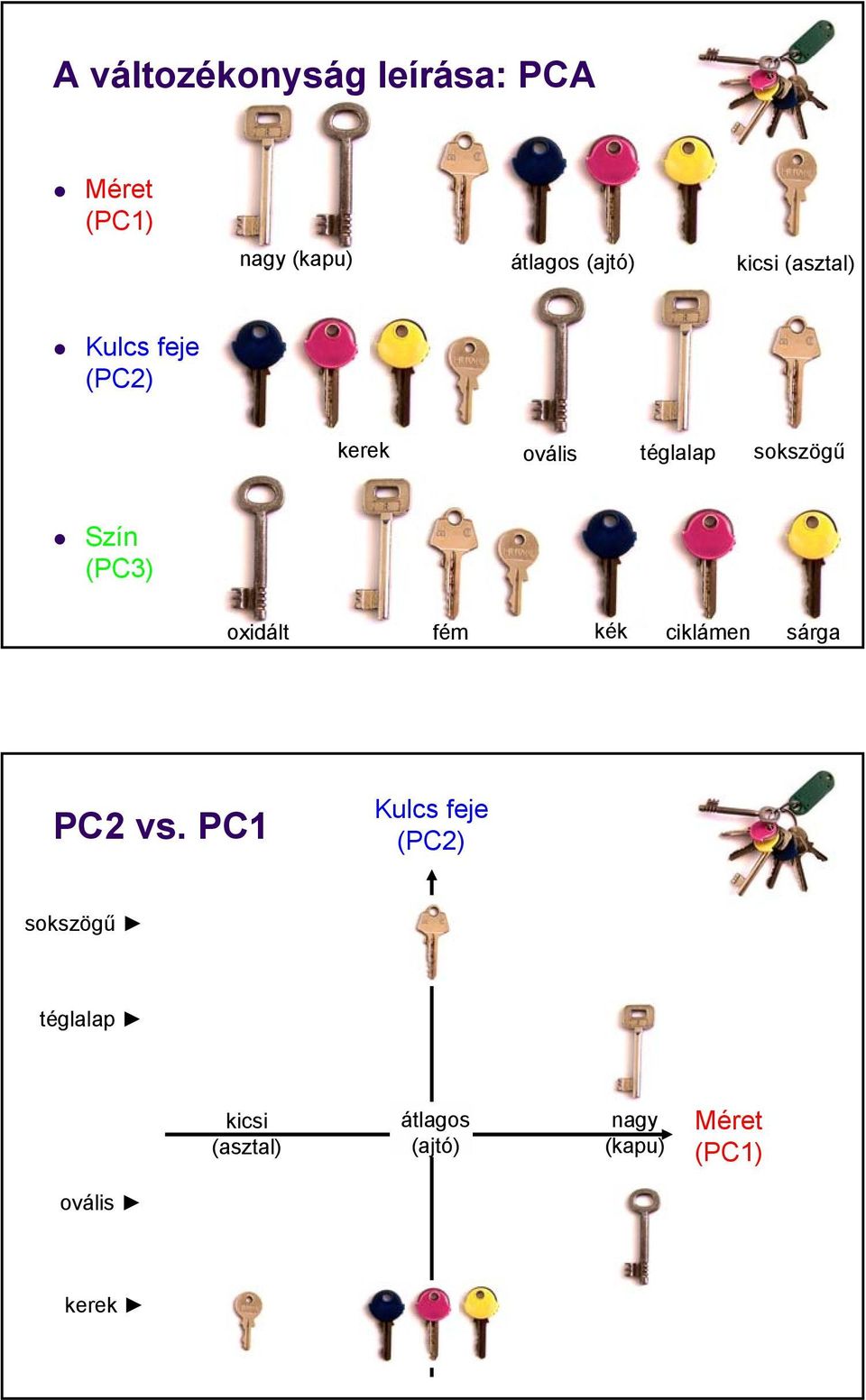 (PC3) oxidált fém kék ciklámen sárga PC2 vs.