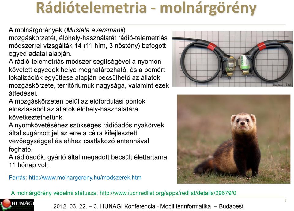 valamint ezek átfedései. A mozgáskörzeten belül az előfordulási pontok eloszlásából az állatok élőhely-használatára következtethetünk.