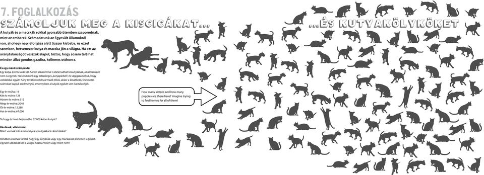 Ha ezt az aránytalanságot vesszük alapul, biztos, hogy sosem találhat minden állat gondos gazdira, kellemes otthonra....es...es kutyakölyköket KUTYAKÖLYKÖKET És egy másik számpélda: Egy kutya évente akár két-három alkalommal is életet adhat kiskutyáknak, alkalmanként nem is egynek.