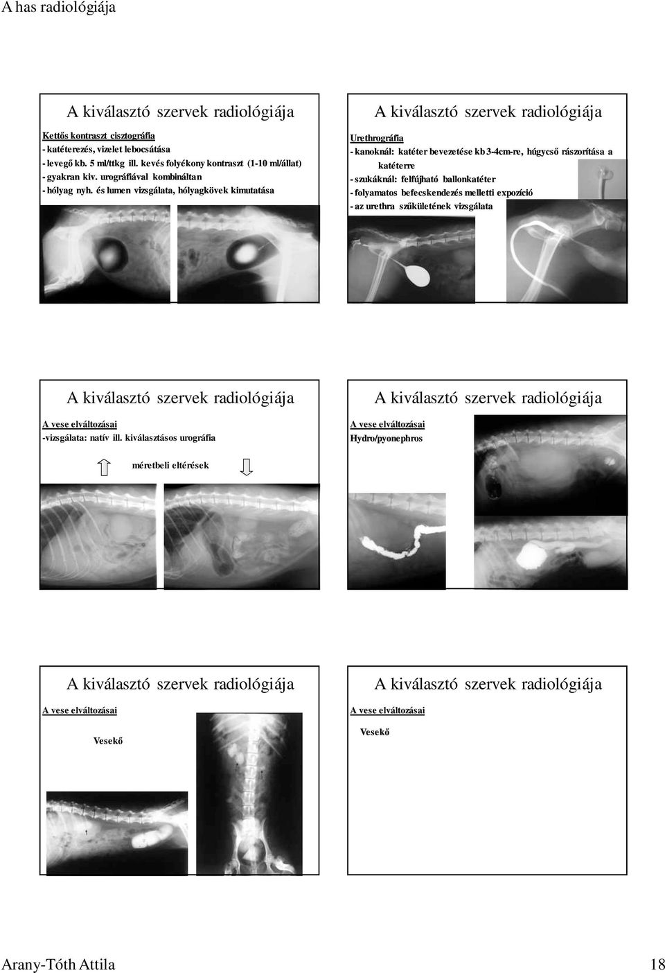 és lumen vizsgálata, hólyagkövek kimutatása Urethrográfia - kanoknál: katéter bevezetése kb 3-4cm-re, húgycsı rászorítása a katéterre - szukáknál: felfújható