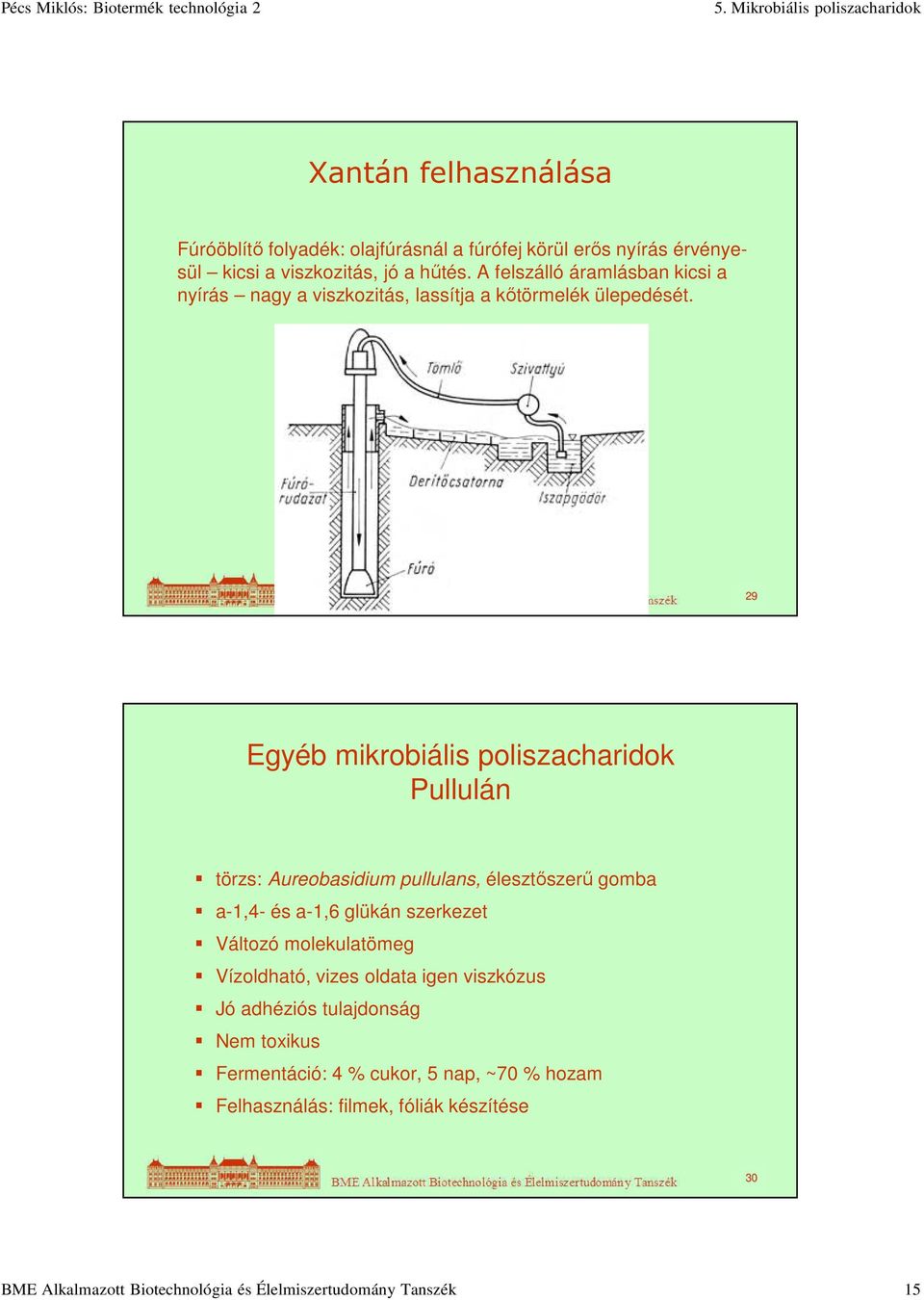 29 Egyéb mikrobiális poliszacharidok Pullulán törzs: Aureobasidium pullulans, élesztőszerű gomba a-1,4- és a-1,6 glükán szerkezet Változó