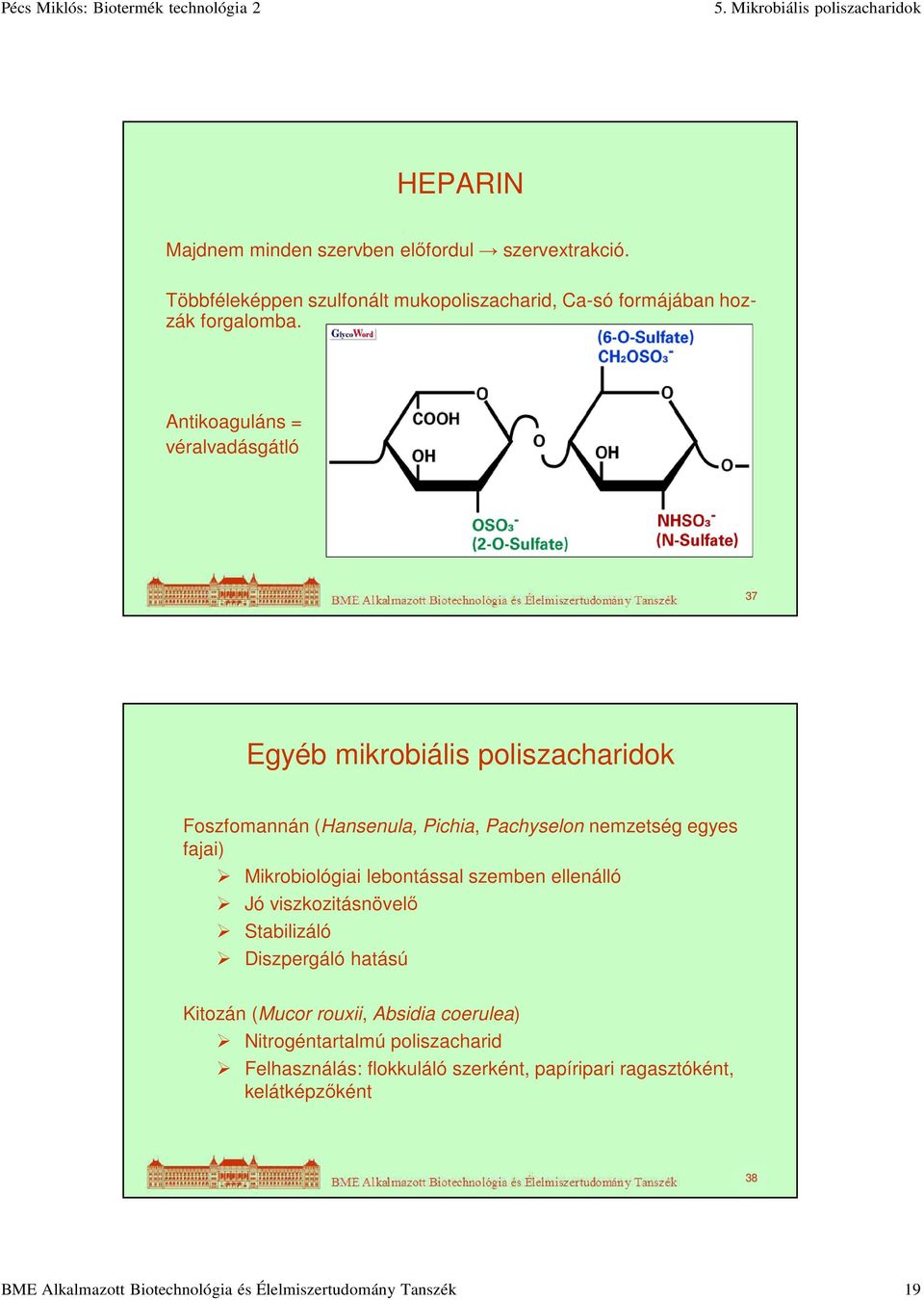 Mikrobiológiai lebontással szemben ellenálló Jó viszkozitásnövelő Stabilizáló Diszpergáló hatású Kitozán (Mucor rouxii, Absidia coerulea)