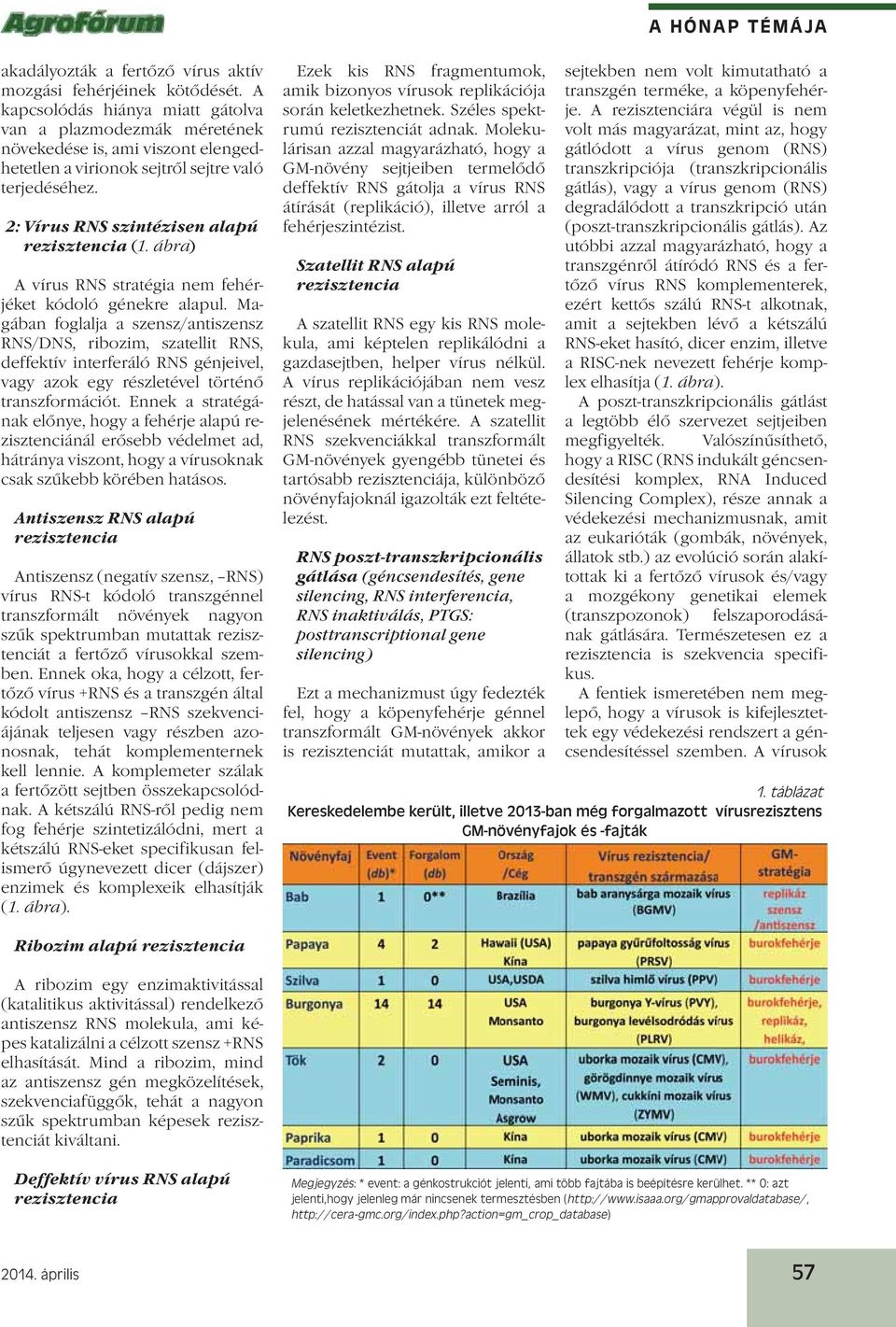 ábra) A vírus RNS stratégia nem fehérjéket kódoló génekre alapul.