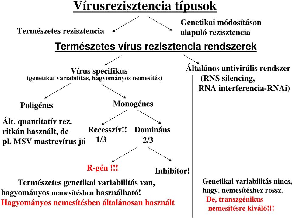 quantitatív rez. ritkán használt, de pl. MSV mastrevírus jó Recesszív!! 1/3 Domináns 2/3 R-gén!!! Inhibitor!