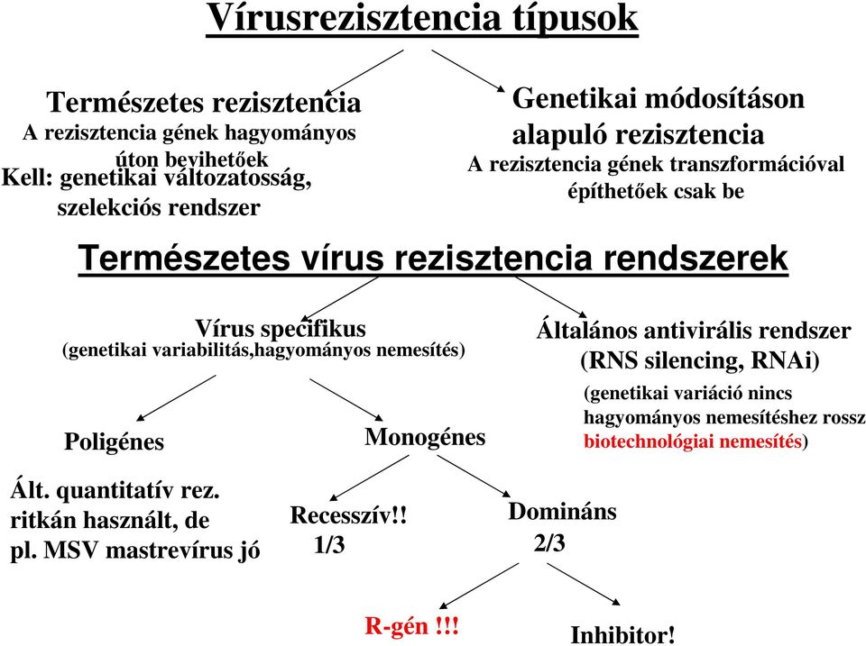 specifikus (genetikai variabilitás,hagyományos nemesítés) Poligénes Monogénes Általános antivirális rendszer (RNS silencing, RNAi) (genetikai variáció nincs