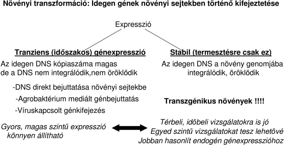 -DNS direkt bejuttatása növényi sejtekbe -Agrobaktérium mediált génbejuttatás -Víruskapcsolt génkifejezés Gyors, magas szintű expresszió könnyen