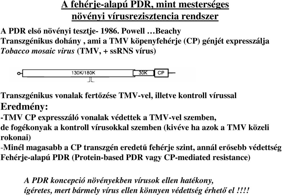 kontroll vírussal Eredmény: -TMV CP expresszáló vonalak védettek a TMV-vel szemben, de fogékonyak a kontroll vírusokkal szemben (kivéve ha azok a TMV közeli rokonai) -Minél