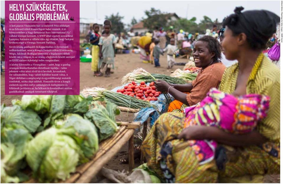 A WWF által vezetett nemzetközi kampány hatására a vállalat idén úgy döntött, hogy befejezi tevékenységét a Virunga Nemzeti Parkban.