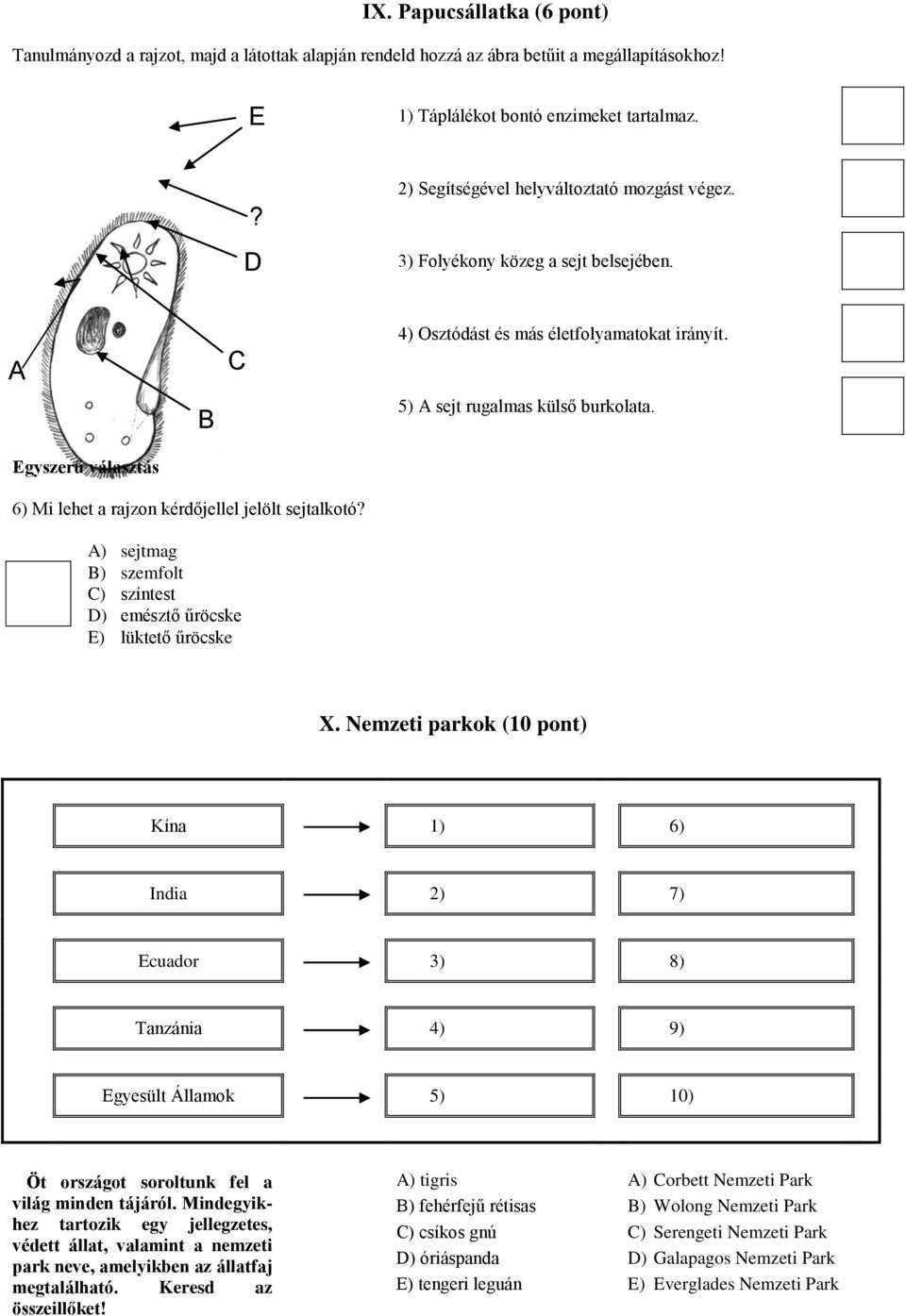 6) Mi lehet a rajzon kérdőjellel jelölt sejtalkotó? A) sejtmag B) szemfolt C) színtest D) emésztő űröcske E) lüktető űröcske X.