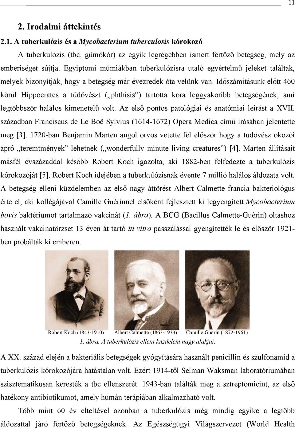 Időszámításunk előtt 460 körül Hippocrates a tüdővészt ( phthisis ) tartotta kora leggyakoribb betegségének, ami legtöbbször halálos kimenetelű volt.