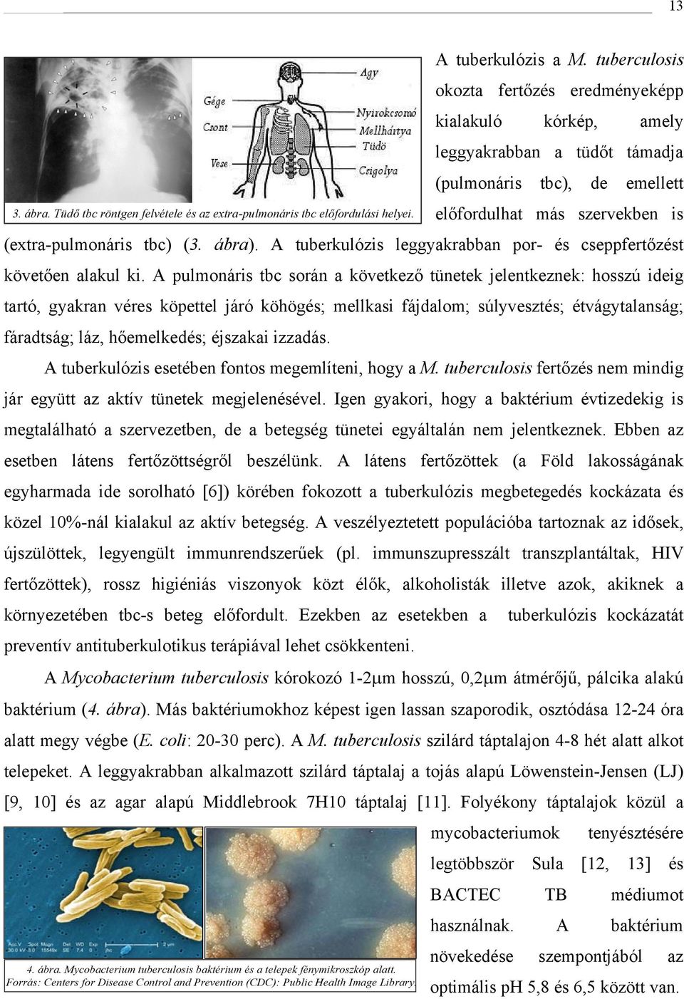 A tuberkulózis leggyakrabban por- és cseppfertőzést követően alakul ki.