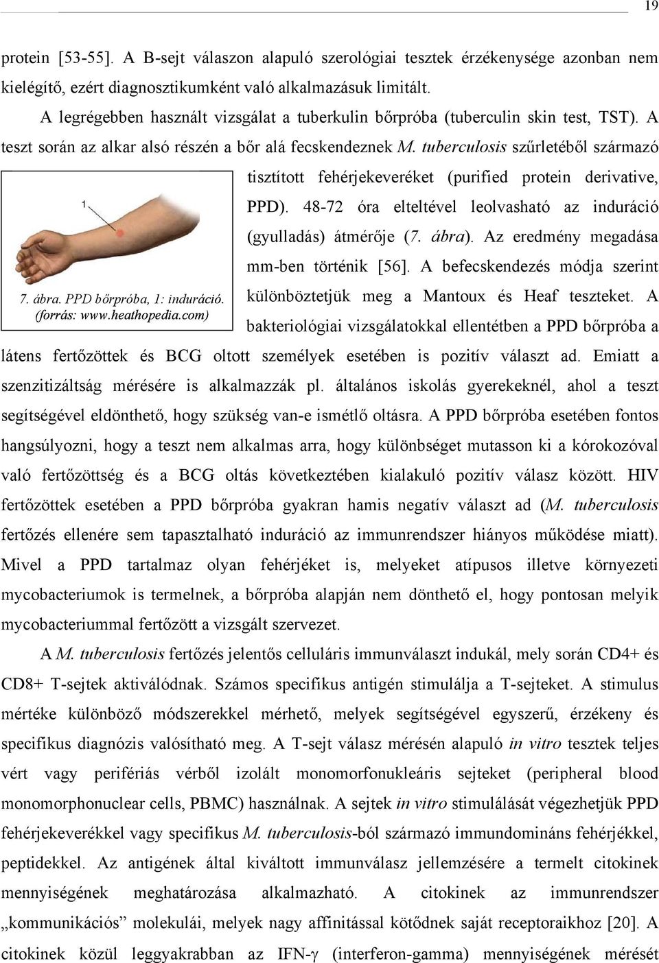 tuberculosis szűrletéből származó tisztított fehérjekeveréket (purified protein derivative, PPD). 48-72 óra elteltével leolvasható az induráció (gyulladás) átmérője (7. ábra).