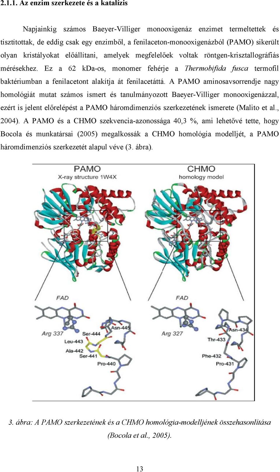 Ez a 62 kda-os, monomer fehérje a Thermobifida fusca termofil baktériumban a fenilacetont alakítja át fenilacetáttá.