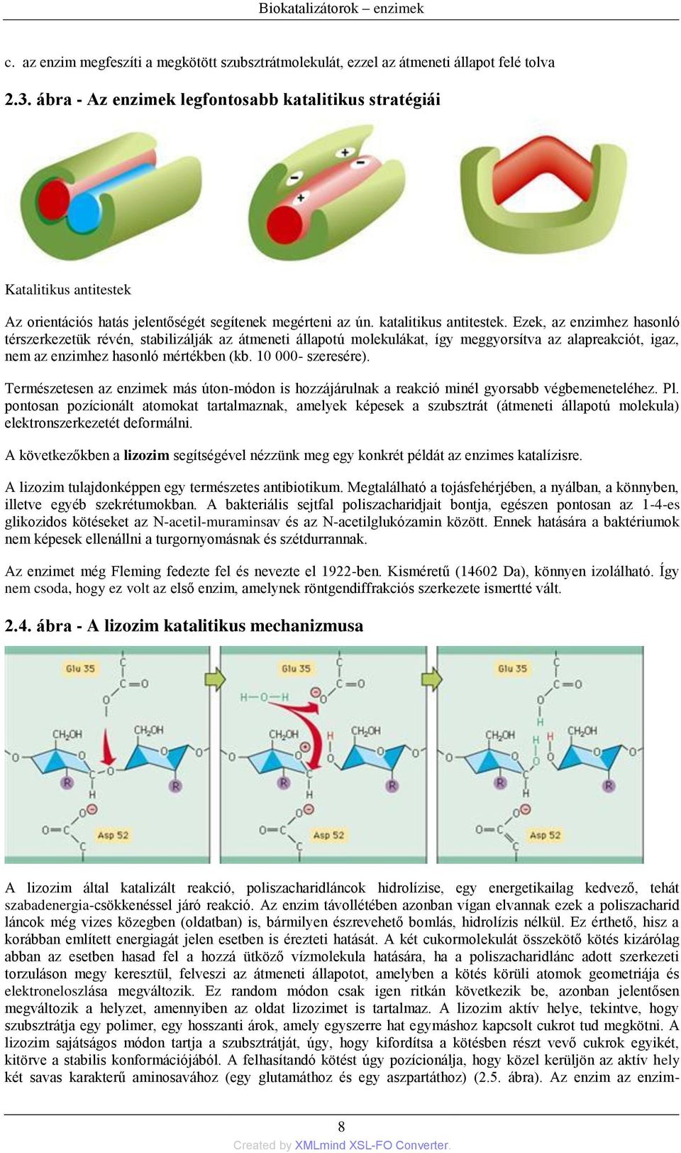 Ezek, az enzimhez hasonló térszerkezetük révén, stabilizálják az átmeneti állapotú molekulákat, így meggyorsítva az alapreakciót, igaz, nem az enzimhez hasonló mértékben (kb. 10 000- szeresére).