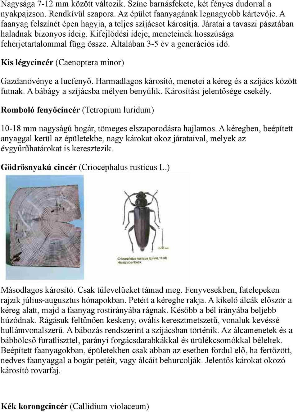 Általában 3-5 év a generációs idő. Kis légycincér (Caenoptera minor) Gazdanövénye a lucfenyő. Harmadlagos károsító, menetei a kéreg és a szíjács között futnak. A bábágy a szíjácsba mélyen benyúlik.