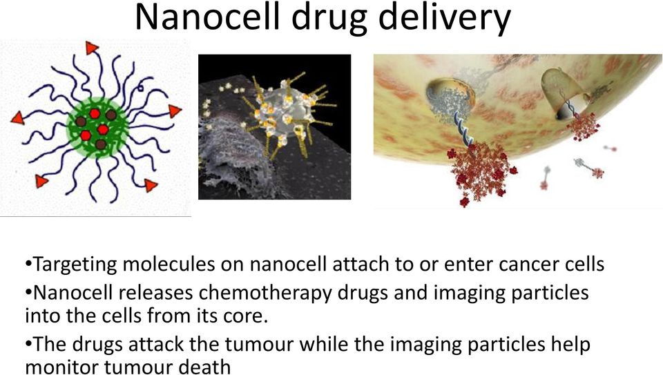 imaging particles into the cells from its core.