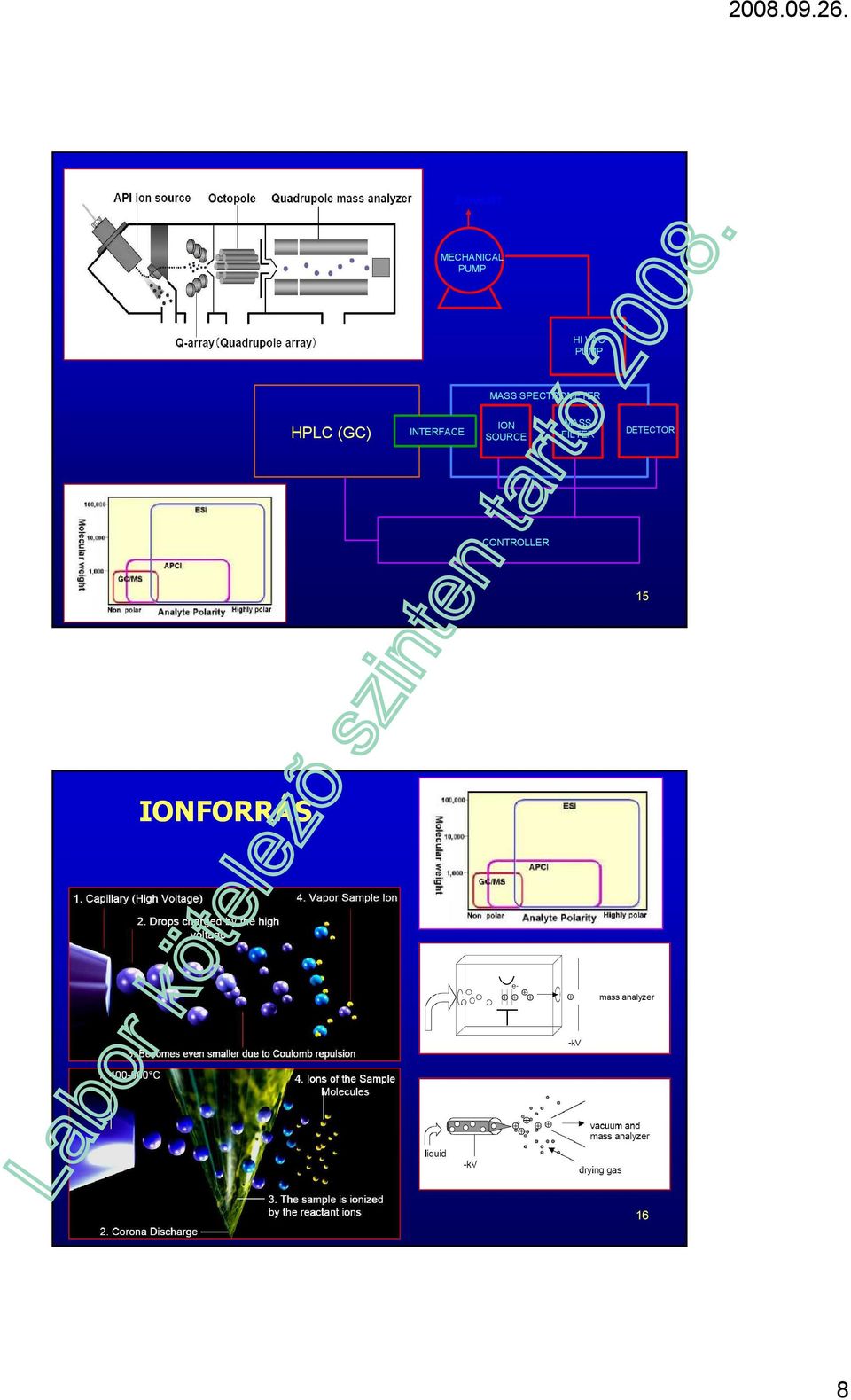 INTERFACE ION SOURCE MASS FILTER