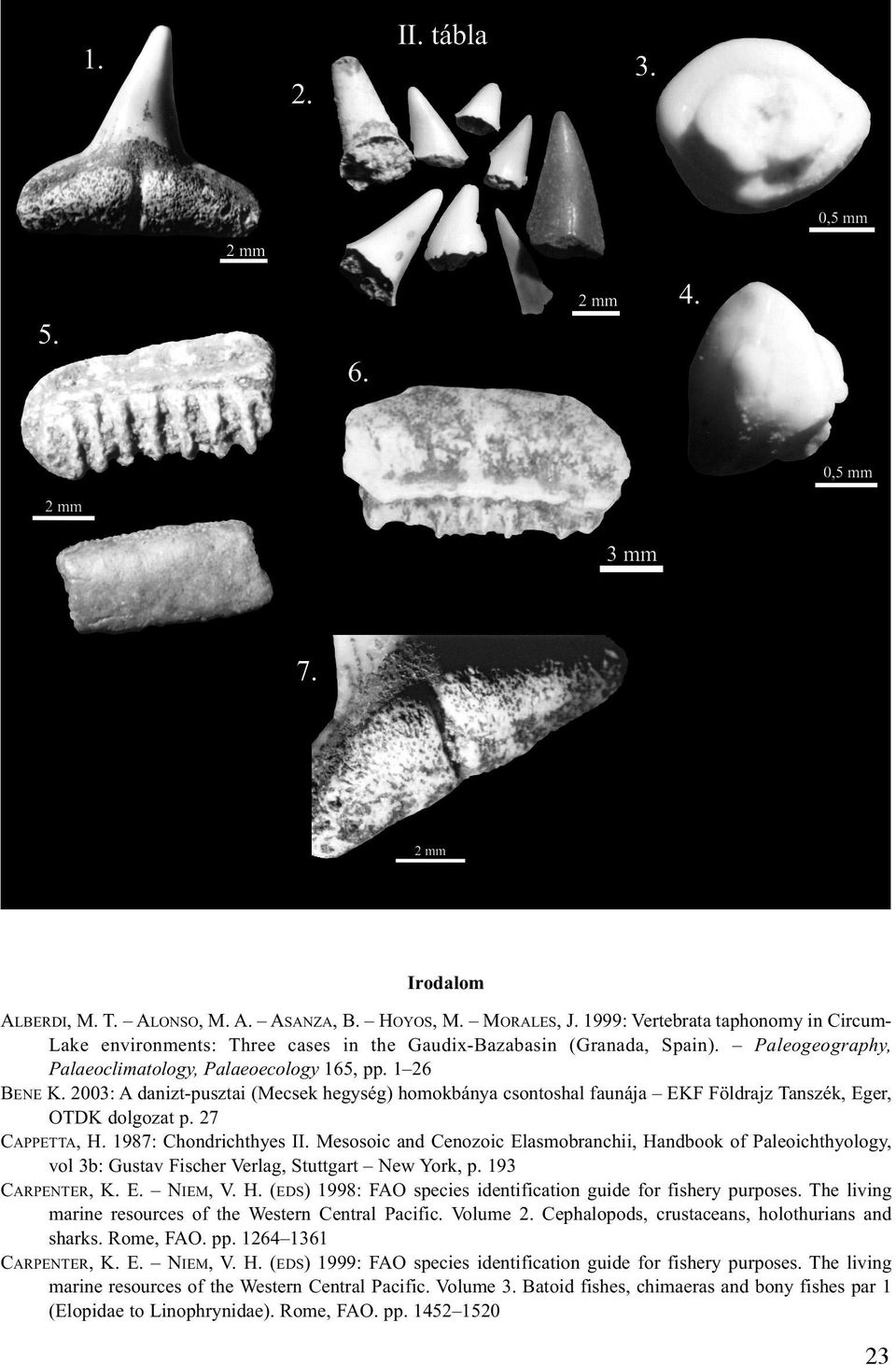 27 CAPPETTA, H. 1987: Chondrichthyes II. Mesosoic and Cenozoic Elasmobranchii, Handbook of Paleoichthyology, vol 3b: Gustav Fischer Verlag, Stuttgart New York, p. 193 CARPENTER, K. E. NIEM, V. H. (EDS) 1998: FAO species identification guide for fishery purposes.