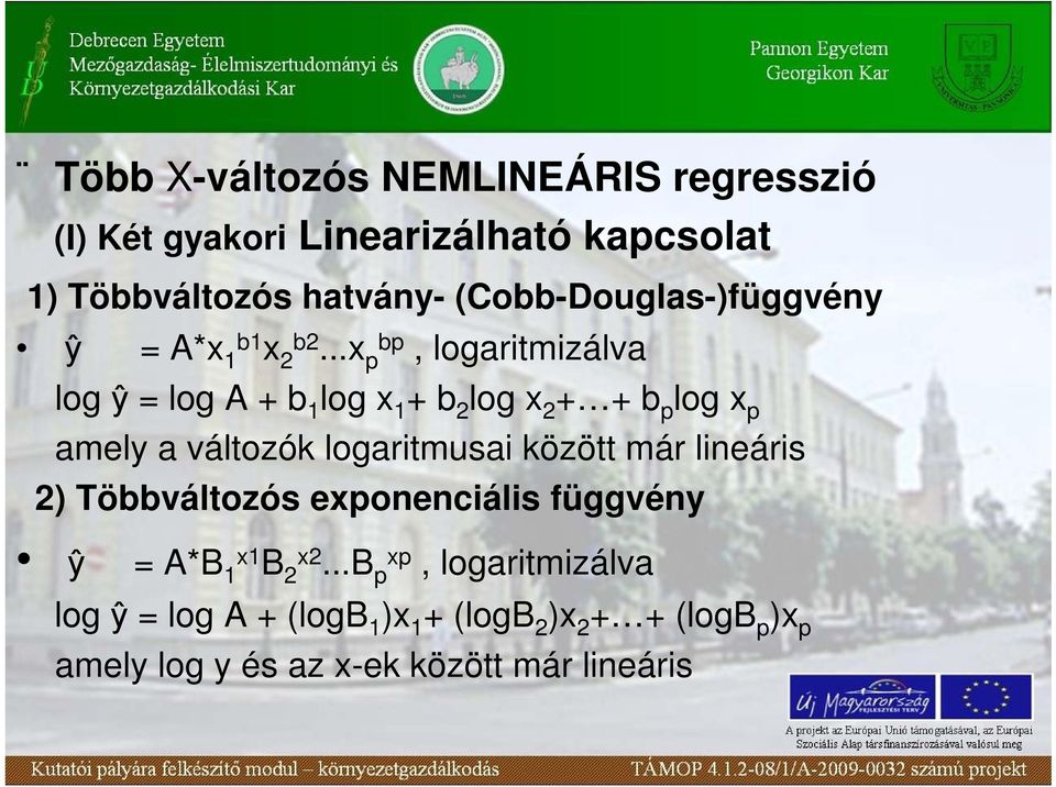 ..x p bp, logaritmizálva log ŷ = log A + b 1 log x 1 + b 2 log x 2 + + b p log x p amely a változók logaritmusai