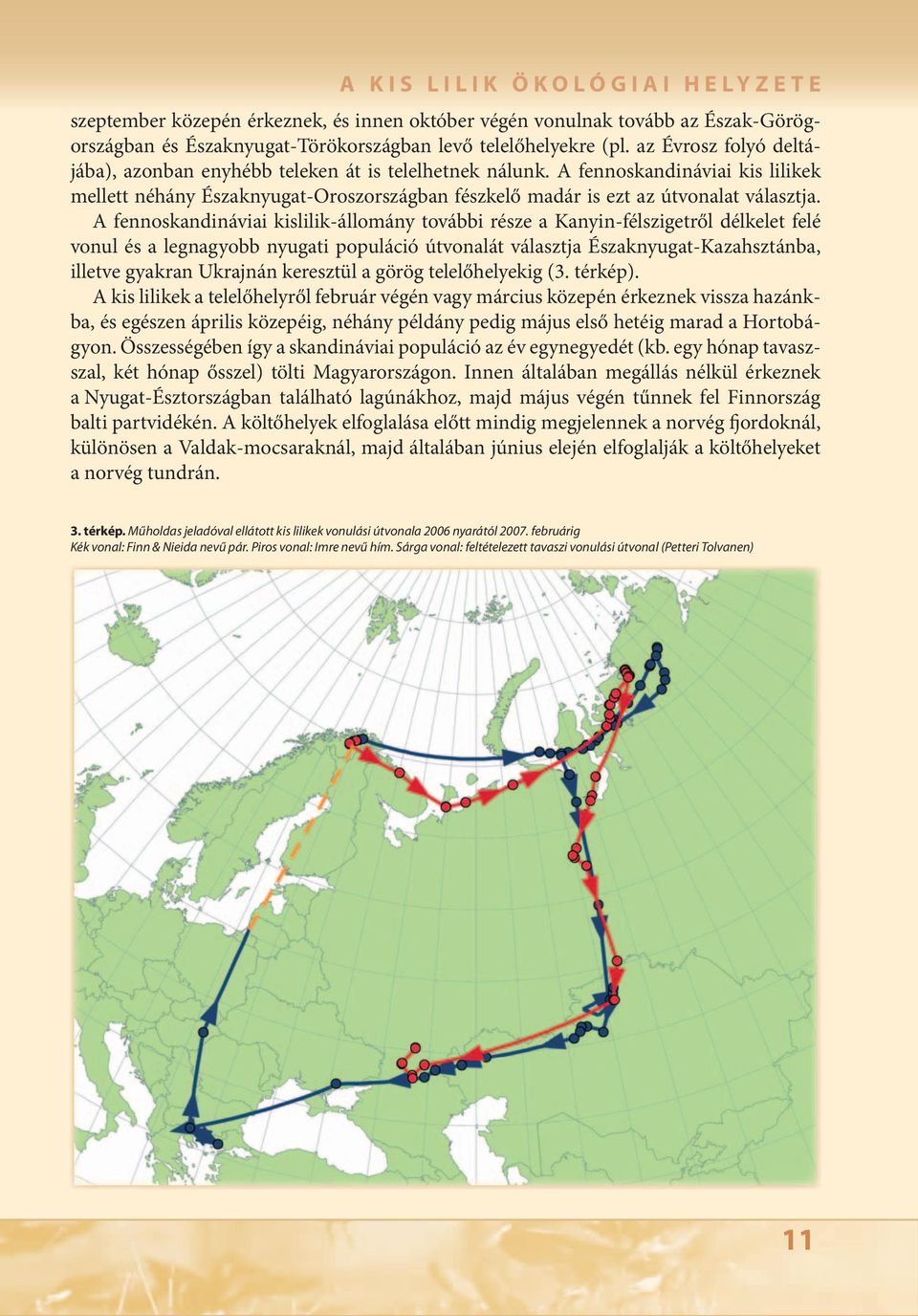 A fennoskandináviai kislilik-állomány további része a Kanyin-félszigetről délkelet felé vonul és a legnagyobb nyugati populáció útvonalát választja Északnyugat-Kazahsztánba, illetve gyakran Ukrajnán
