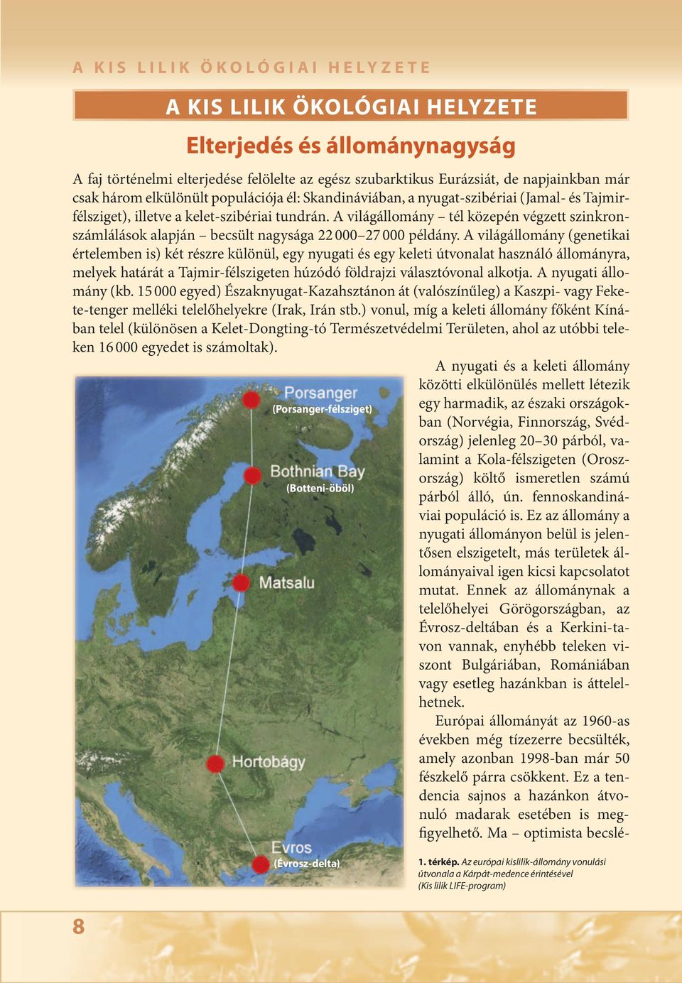 A világállomány tél közepén végzett szinkronszámlálások alapján becsült nagysága 22 000 27 000 példány.