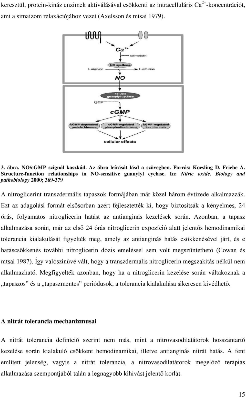 Biology and pathobiology 2000; 369-379 A nitroglicerint transzdermális tapaszok formájában már közel három évtizede alkalmazzák.