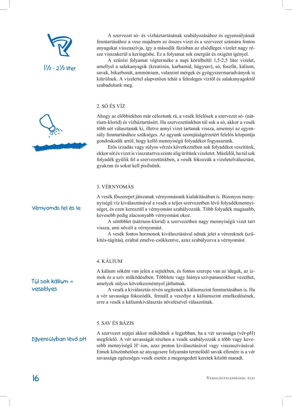 A szűrési folyamat végterméke a napi körülbelül 1,5-2,5 liter vizelet, amellyel a salakanyagok (kreatinin, karbamid, húgysav), só, foszfát, kálium, savak, bikarbonát, ammónium, valamint mérgek és