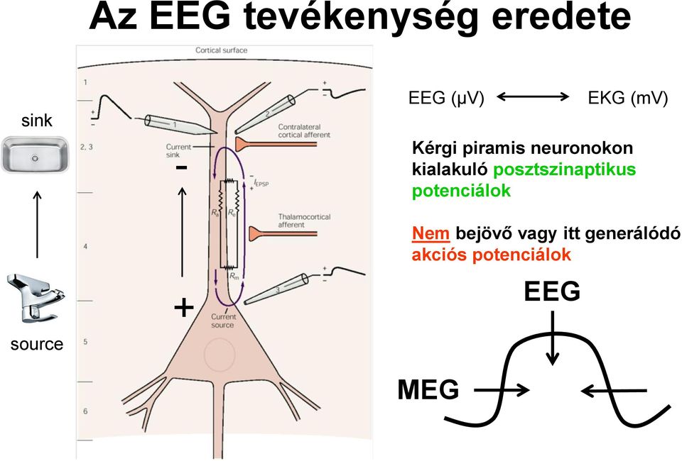 posztszinaptikus potenciálok Nem bejövő vagy