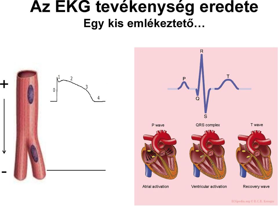 eredete Egy