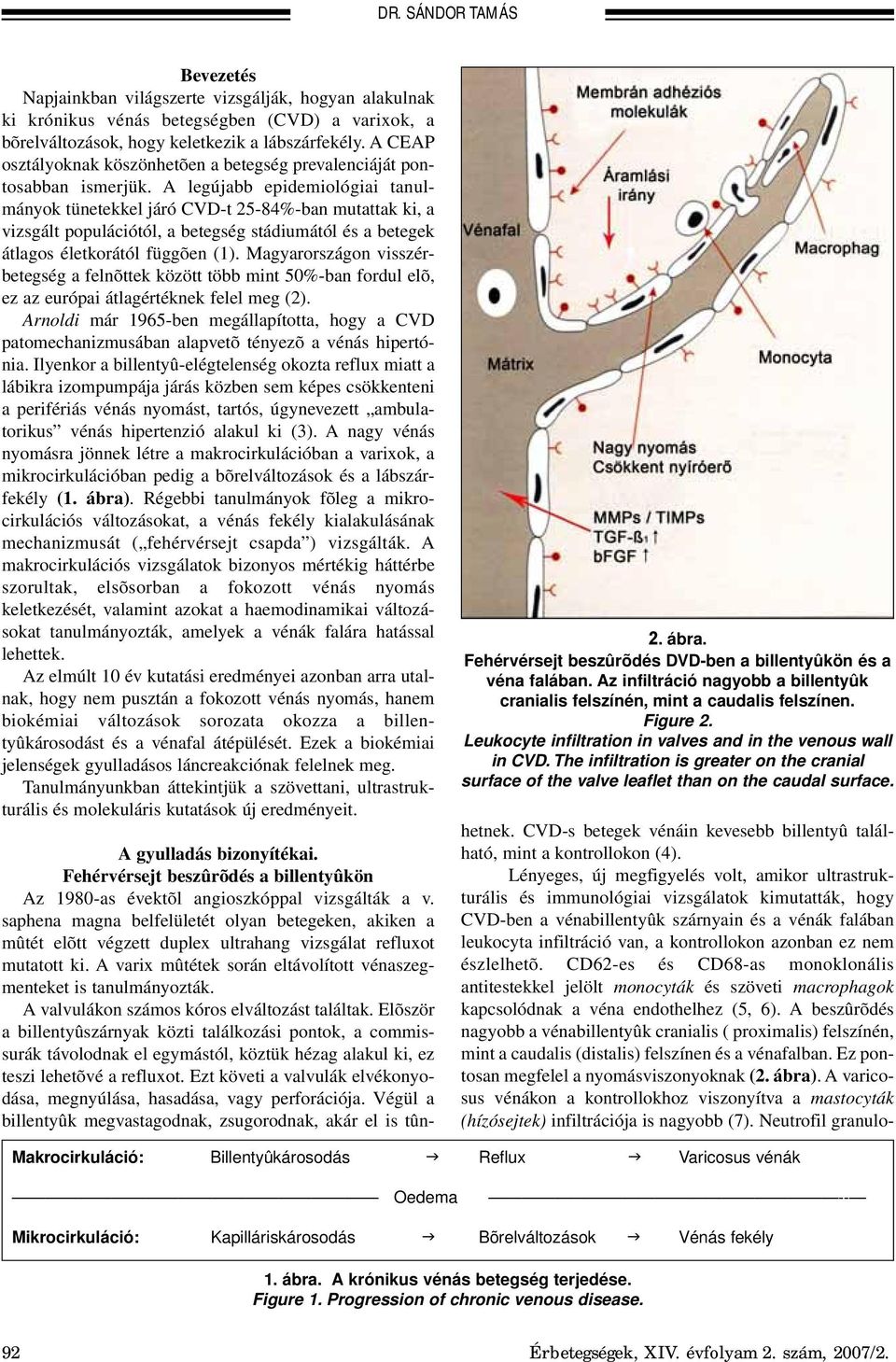 A legújabb epidemiológiai tanulmányok tünetekkel járó CVD-t 25-84%-ban mutattak ki, a vizsgált populációtól, a betegség stádiumától és a betegek átlagos életkorától függõen (1).