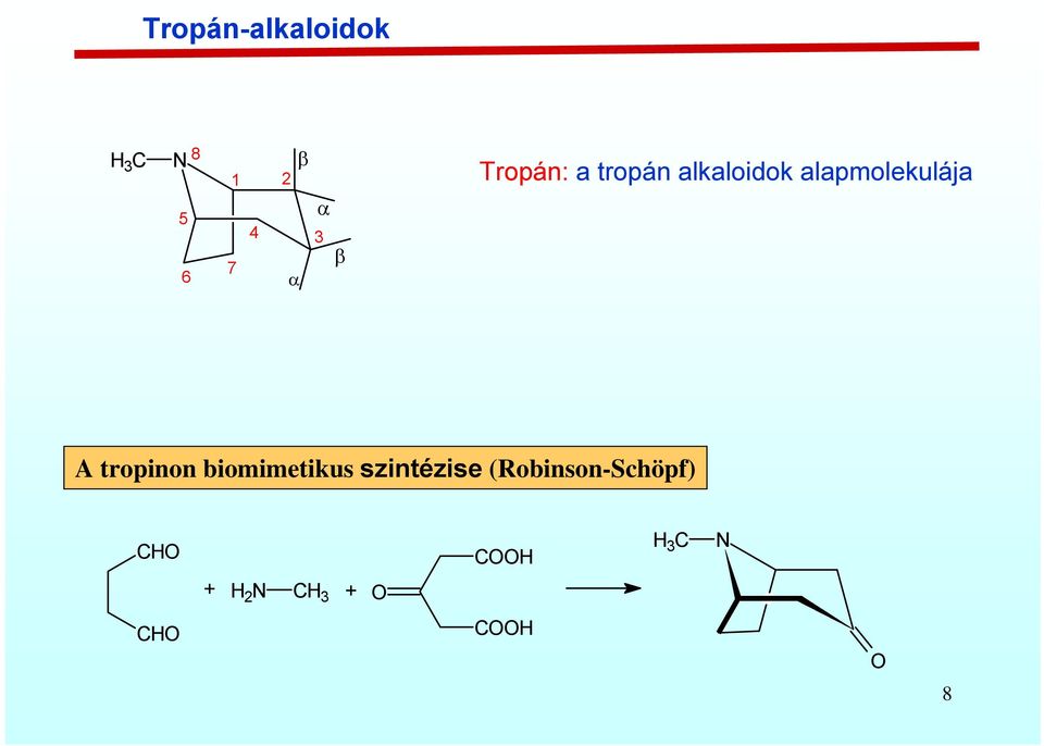 alapmolekulája A tropinon biomimetikus