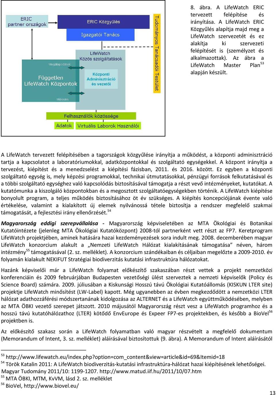 A LifeWatch tervezett felépítésében a tagországok közgyűlése irányítja a működést, a központi adminisztráció tartja a kapcsolatot a laboratóriumokkal, adatközpontokkal és szolgáltató egységekkel.