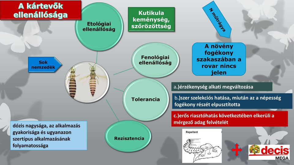alkalmazásának folyamatossága Rezisztencia Tolerancia a.)érzékenység alkati megváltozása b.