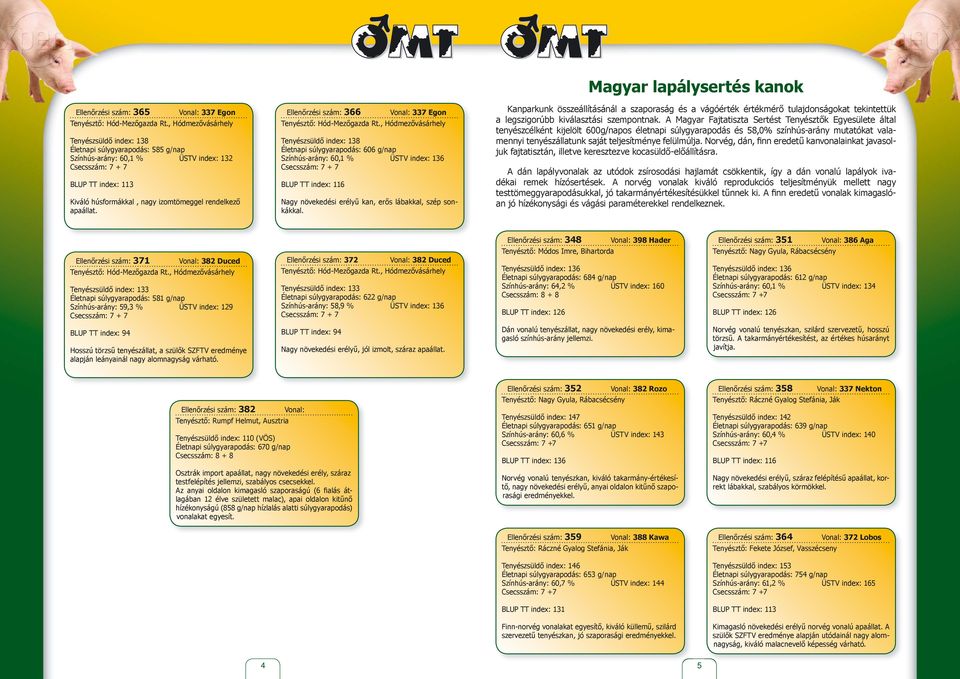 Ellenőrzési szám: 366 Vonal: 337 Egon Tenyészsüldő index: 138 Életnapi súlygyarapodás: 606 g/nap Színhús-arány: 60,1 % ÜSTV index: 136 BLUP TT index: 116 Nagy növekedési erélyű kan, erős lábakkal,