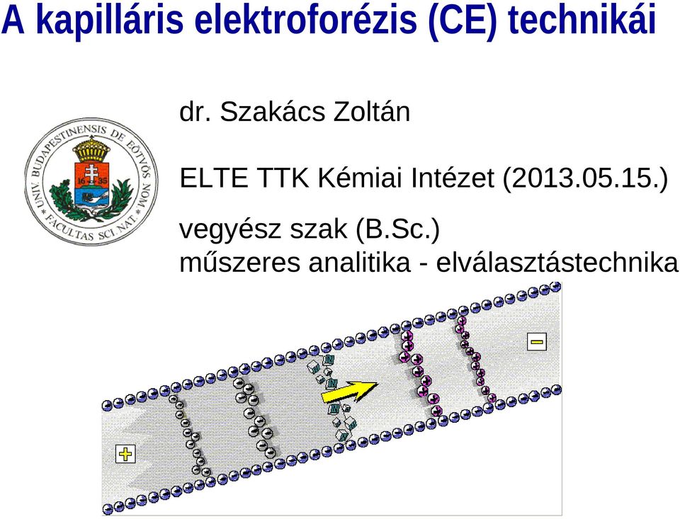 Szakács Zoltán ELTE TTK Kémiai Intézet